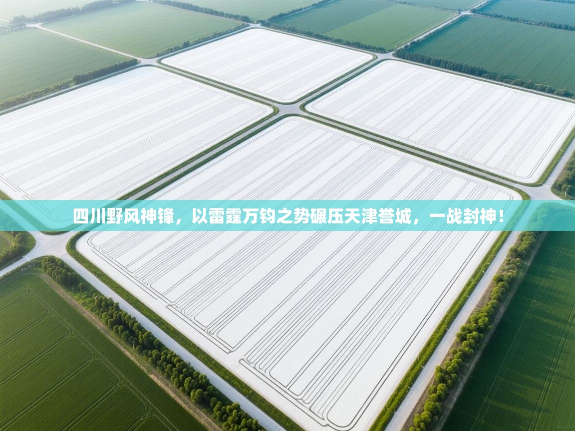 四川野风神锋,以雷霆万钧之势碾压天津誉城,一战封神! 第2张