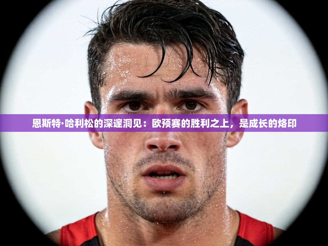 恩斯特·哈利松的深邃洞见：欧预赛的胜利之上，是成长的烙印  第2张