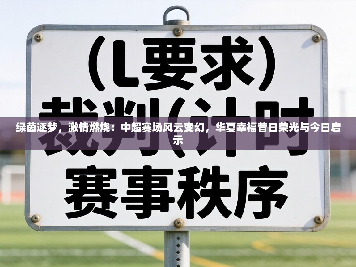 绿茵逐梦，激情燃烧：中超赛场风云变幻，华夏幸福昔日荣光与今日启示  第2张