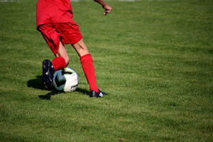 爱游戏-体育新闻中心构建体育赛事全媒体传播体系，体育赛事的媒体宣传需要向媒体经营单位直接支付费用  第3张